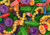 gut microbiome