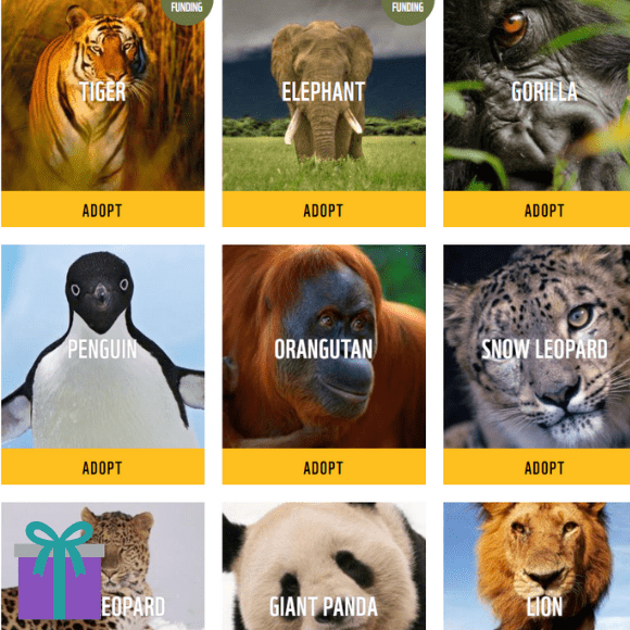 WWF adoption