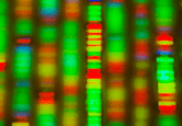 nanopore sequencing