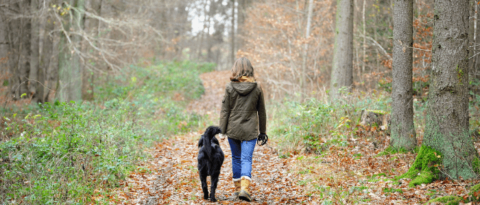 Woman and dogs relationship evolution wood