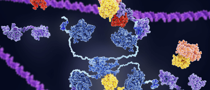 CRISPR enzymes DNA