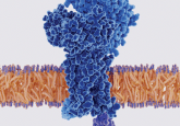 protein-protein interaction binding sites