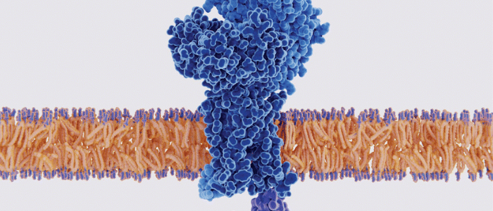 protein-protein interaction binding sites