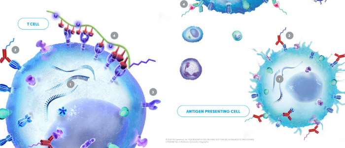 multiomic cytometry