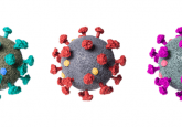 Neutralizing antibodies for different SARS-CoV-2 variants