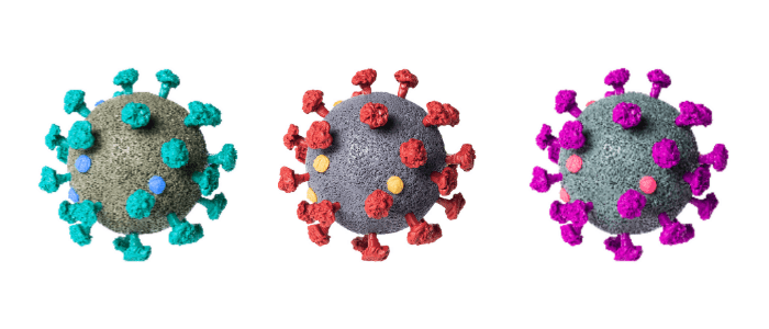 Neutralizing antibodies for different SARS-CoV-2 variants