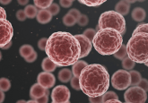 tumor microenvironment