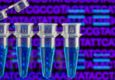 Modern approaches to qPCR