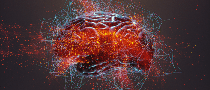 Brain neuroimaging studies