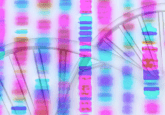 DNA Day DNA sequence and DNA helix