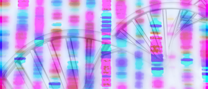 DNA Day DNA sequence and DNA helix