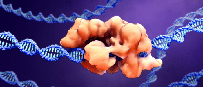 CRISPRoff CRISPRon DNA editing