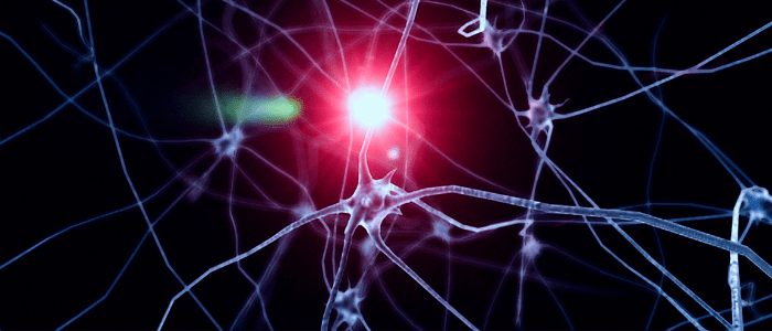 Chaperone-mediated autophagy in Alzheimer's disease novel drug neuron