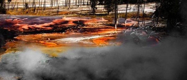 New Archaea Phylum Hot springs