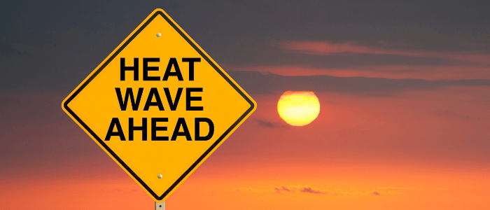 Extreme heat wave