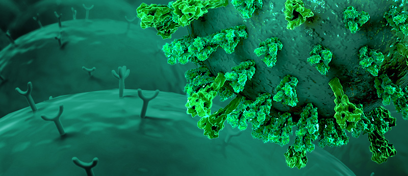 SARS-CoV-2 virus cell green COVID-19
