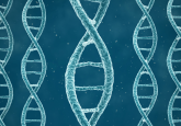 3D genomic structure of DNA strands
