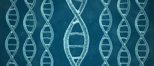 3D genomic structure of DNA strands