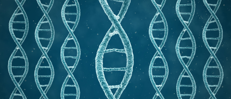 3D genomic structure of DNA strands