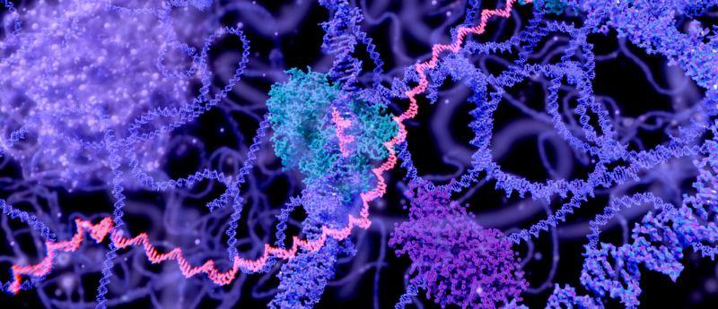 polymerase theta DNA editing