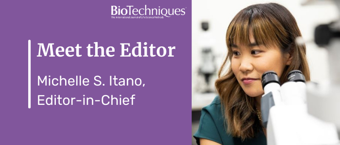 Meet the Editor: Michelle S. Itano, Editor-in-Chief
