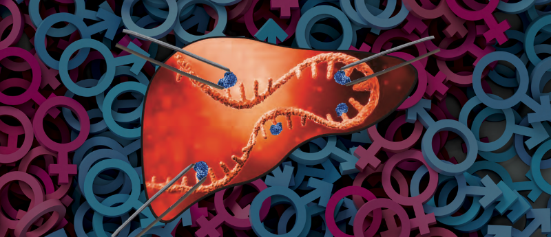 m6A RNA modifications in the liver sex differences