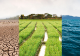 climate change cracked earth irrigated farmland ocean