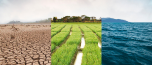 climate change cracked earth irrigated farmland ocean