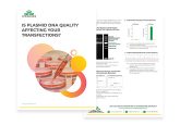 Is plasmid DNA quality effecting your transfections