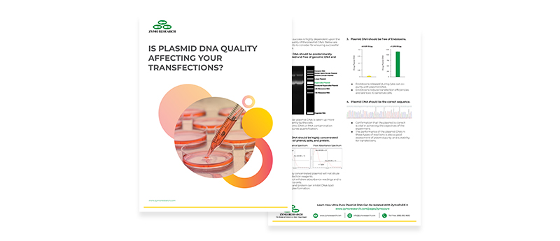 Is plasmid DNA quality effecting your transfections