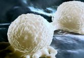 multiplying cancer cells triple-negative breast cancer