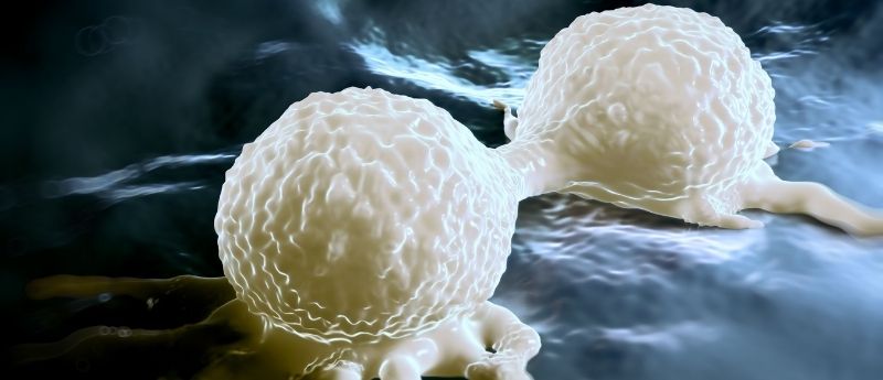multiplying cancer cells triple-negative breast cancer