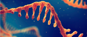 RNA production