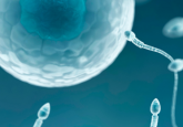Sperm and egg cell - what causes infertility?