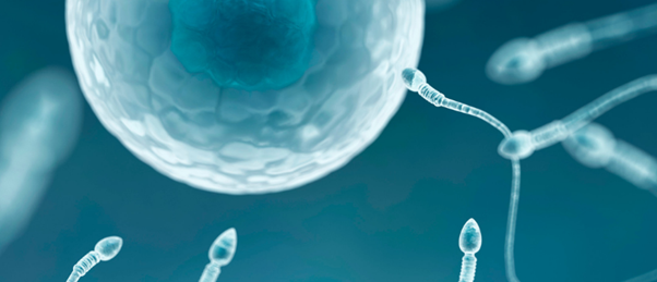 Sperm and egg cell - what causes infertility?