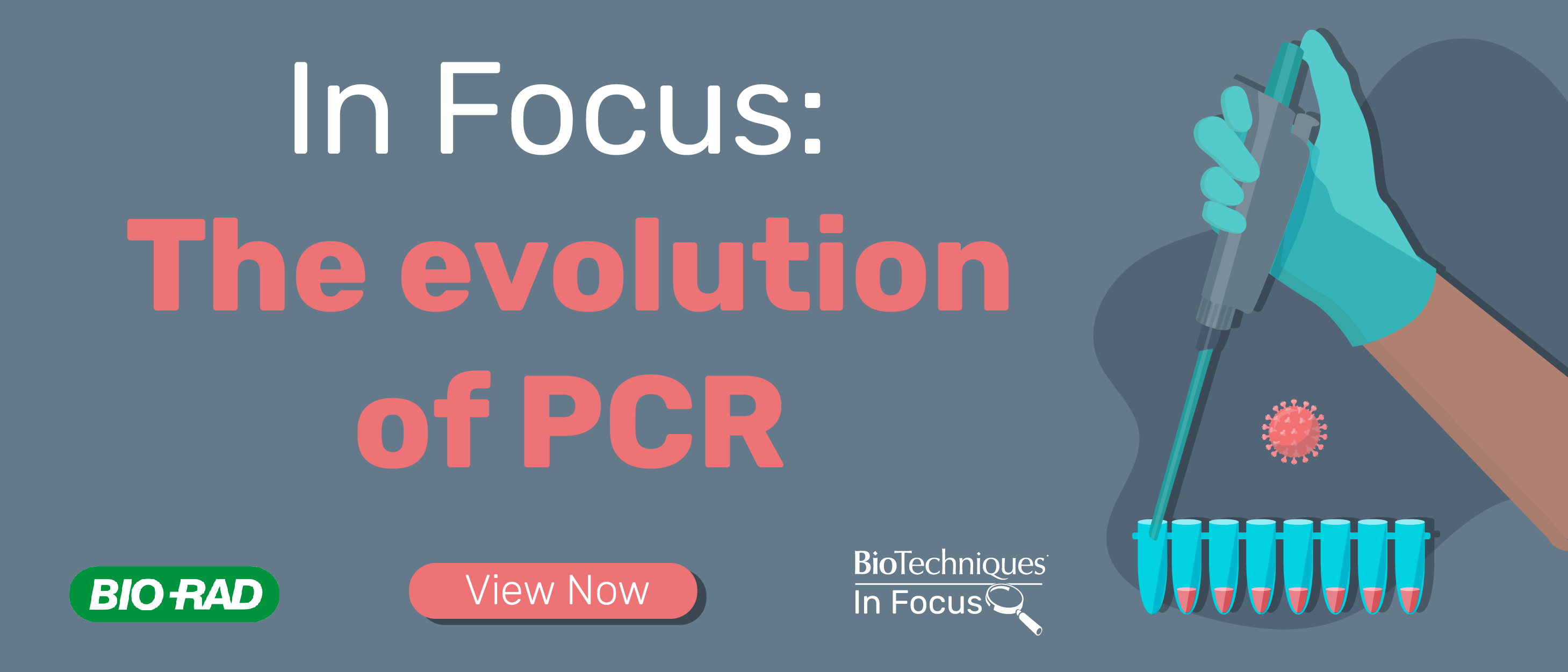 In Focus: The evolution of PCR