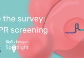 CRISPR screening survey