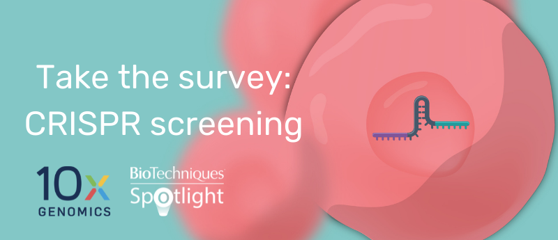 CRISPR screening survey