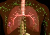 T cells in lymph node system in the body chest space