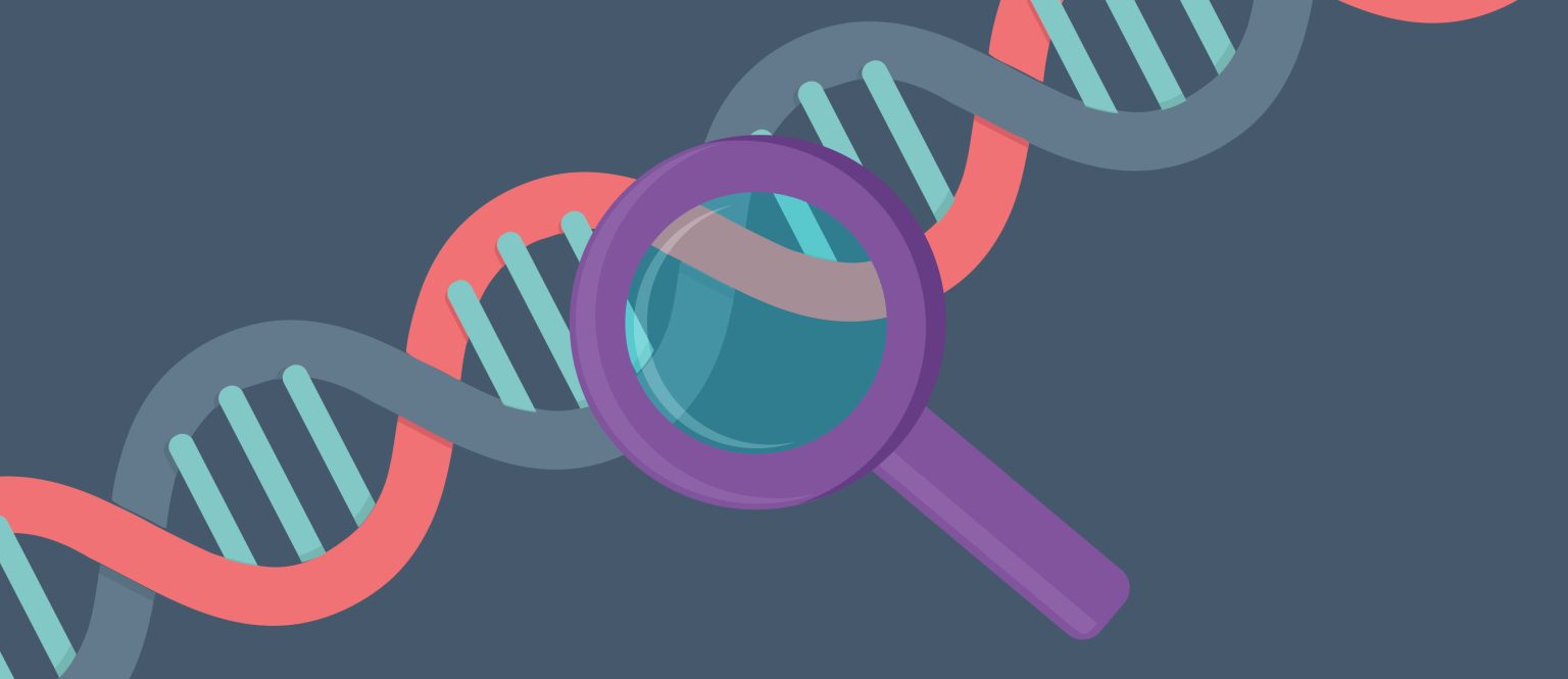 Infographic Primer extension target enrichment for NGS BioTechniques