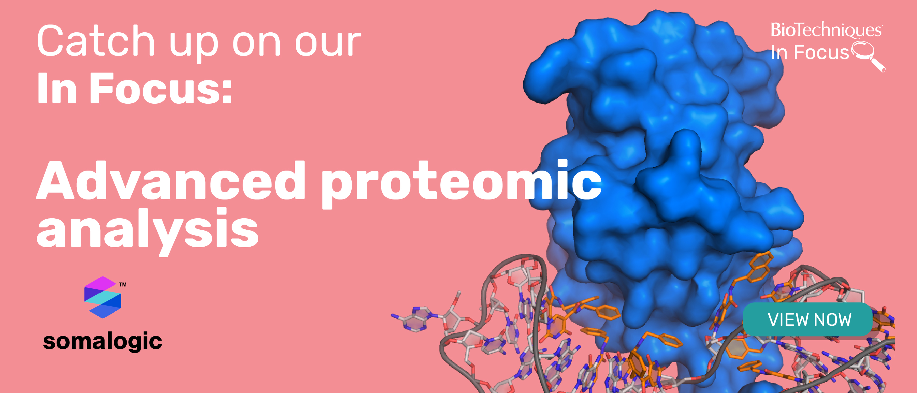 Aptamer binding a protein