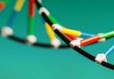 DNA model green background