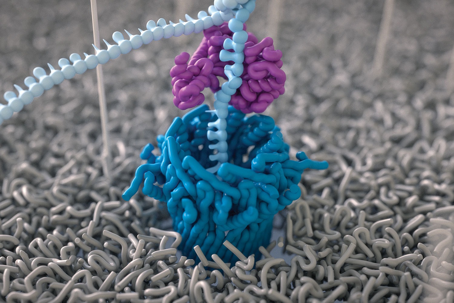 Nanopore sequencing: how does it work? - BioTechniques