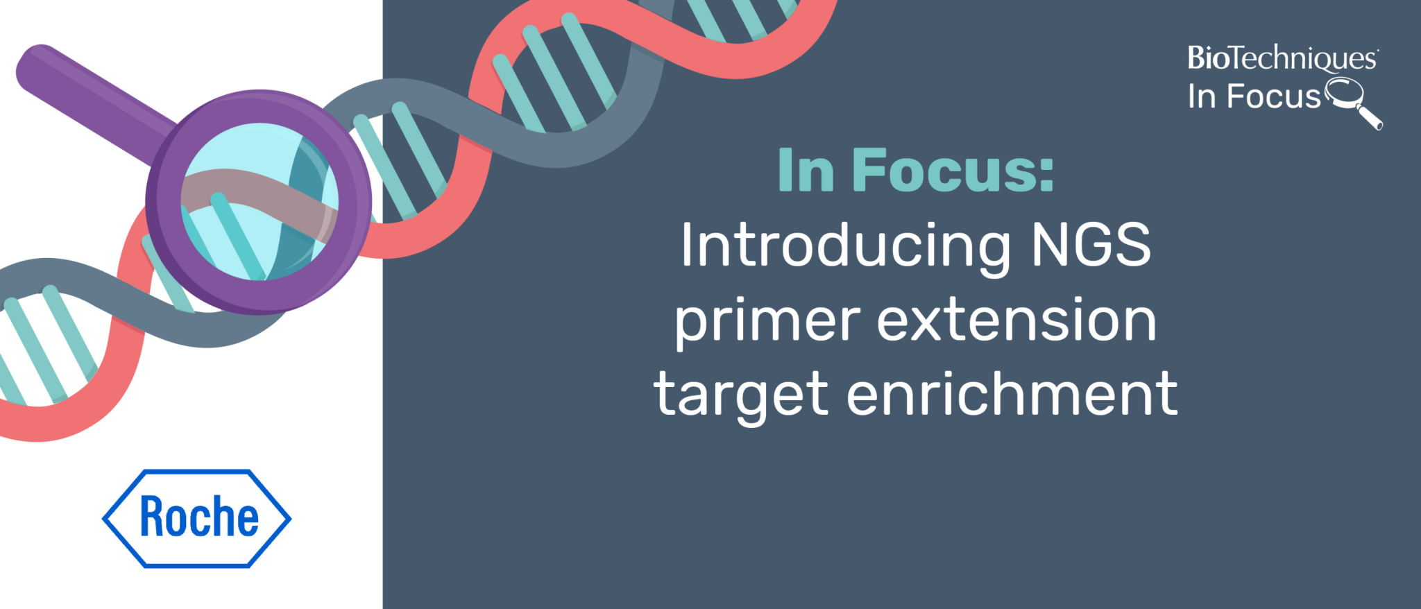 Introducing NGS primer extension target enrichment BioTechniques