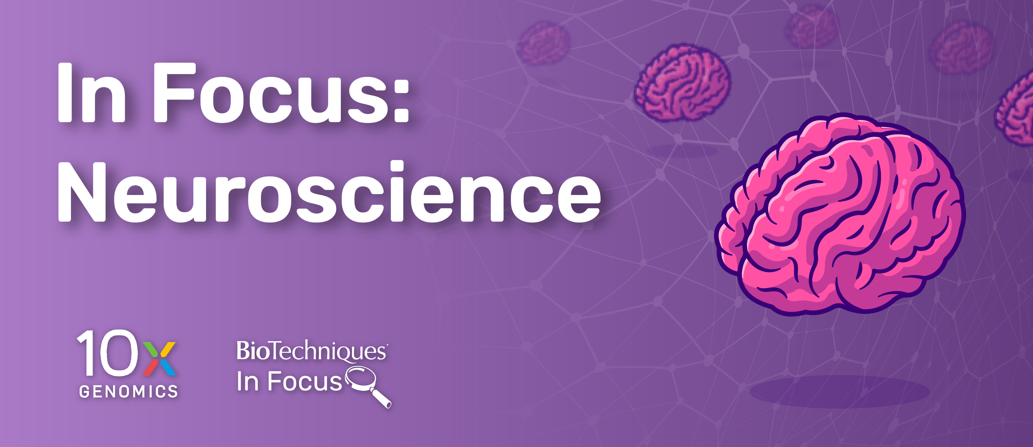 Neuroscience In Focus 10x Genomics header image