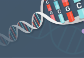 DNA methylation oxford nanopore in focus