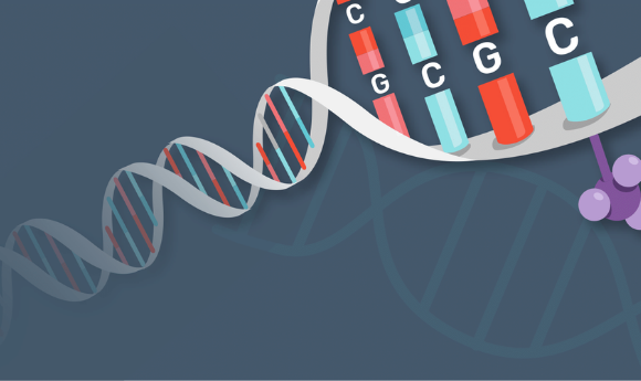 DNA methylation oxford nanopore in focus