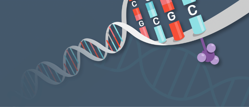 DNA methylation oxford nanopore in focus