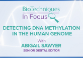 Detecting DNA methylation in the human genome