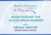 Investigating the blood-brain barrier